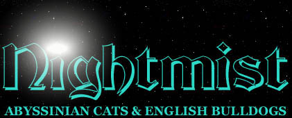 Wecome to our site