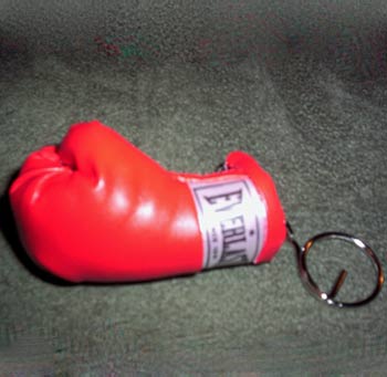 carol  rocky theme boxing glove